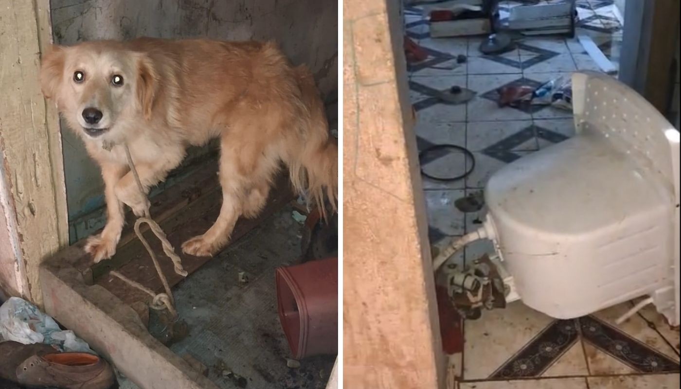foto Not&iacute;cia Piracicaba