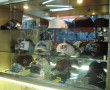 Planeta Surf - Skate Surf Shop