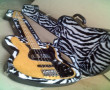Strazza Cases.
