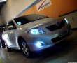 Xenon Corolla